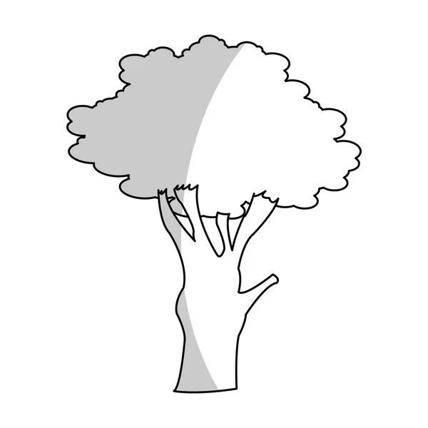 İzole ağacı tasarım — Stok Vektör