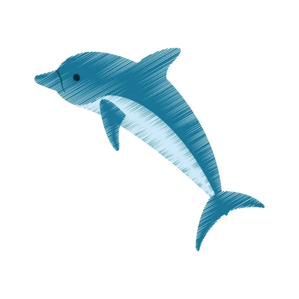 Izolované dolphin design — Stockový vektor