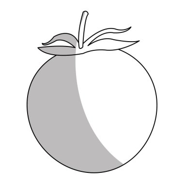 İzole domates tasarım