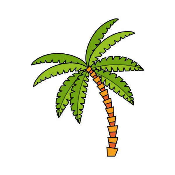 Izolované palm tree designu — Stockový vektor