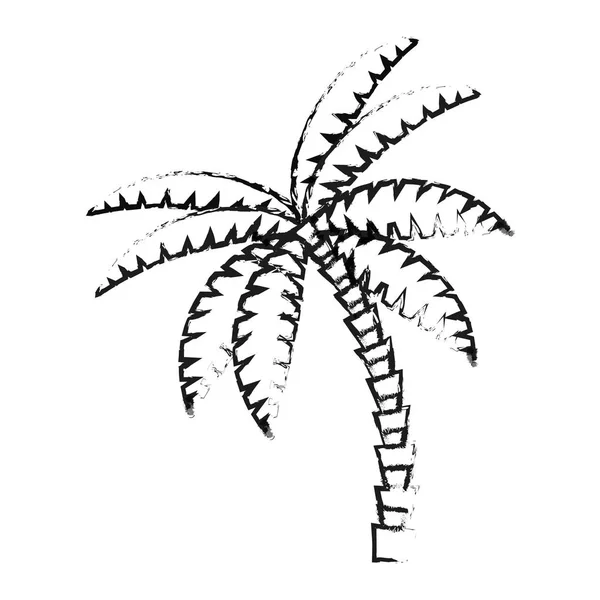 Izolované palm tree designu — Stockový vektor