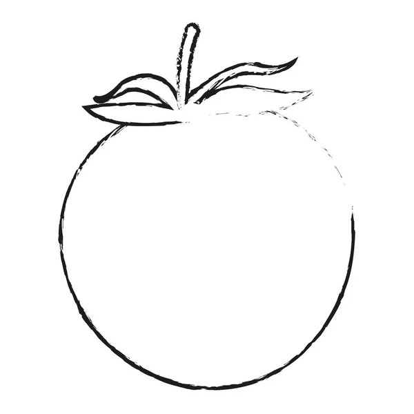 Diseño de tomate aislado — Vector de stock