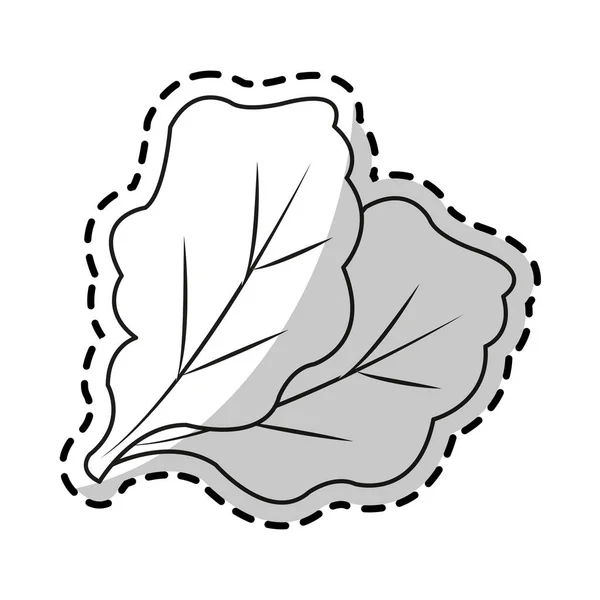 Conception de laitue isolée — Image vectorielle
