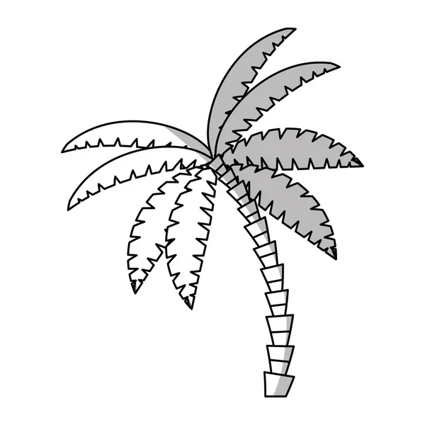 Elszigetelt palm fa design — Stock Vector
