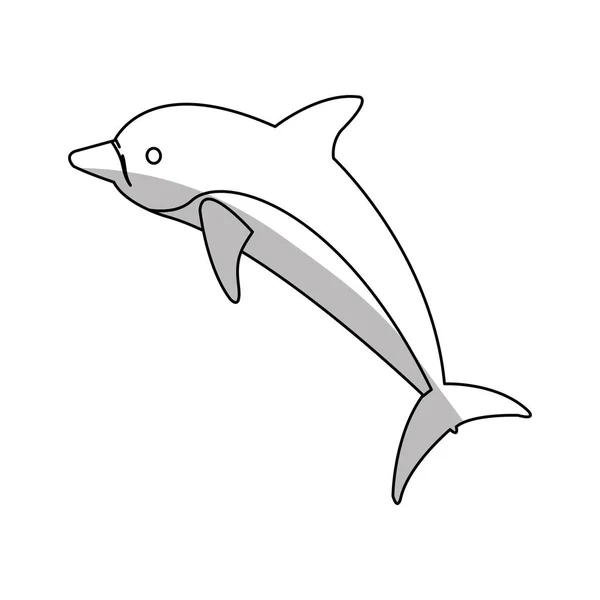 Desenho isolado de golfinhos —  Vetores de Stock