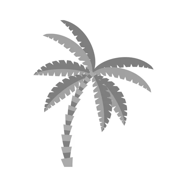 Isolated palm tree design — Stock Vector