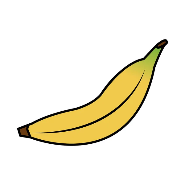 Isolierte Bananenfrucht Design — Stockvektor