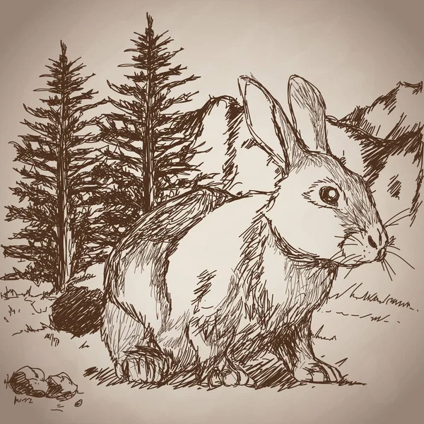 Hand drawing rabbit landscape vintage — Stock Vector