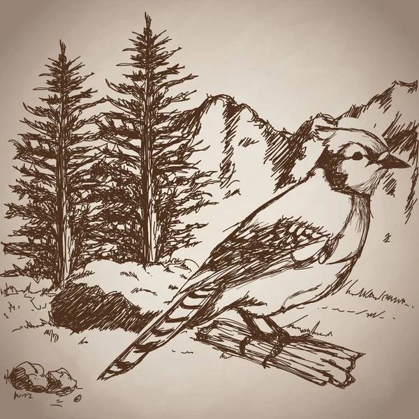 Dessin à la main oiseau paysage vintage — Image vectorielle