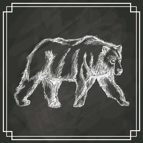 Білий ведмідь ескіз темного фону — стоковий вектор