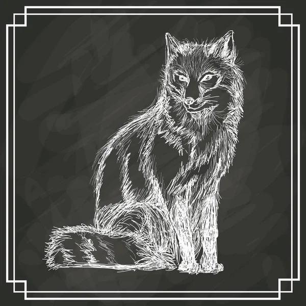 Fox biały szkic tło ciemne — Wektor stockowy