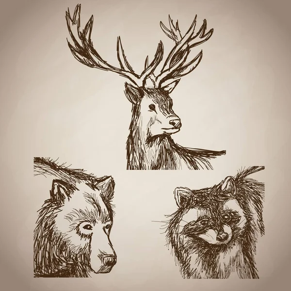 Mano disegnare animali foresta vintage — Vettoriale Stock