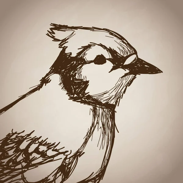 Retrato de pájaro bosque mano dibujo vintage — Vector de stock