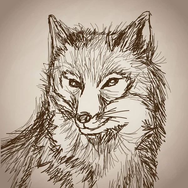 Fuchs Porträt Wald Hand Zeichnung Jahrgang — Stockvektor