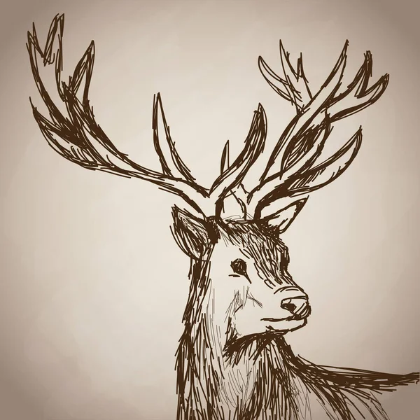 Лесной портрет оленя — стоковый вектор