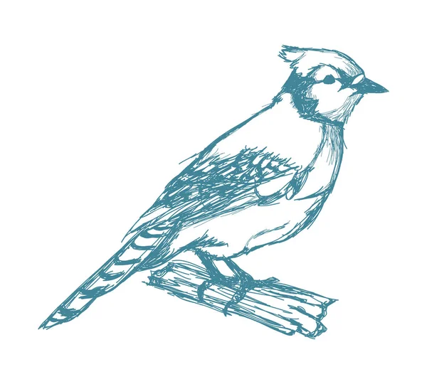 Oiseau sur branche croquis bleu vintage — Image vectorielle