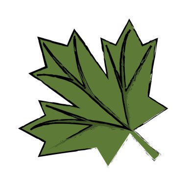 akçaağaç yaprağı yeşil işareti Kanada kroki