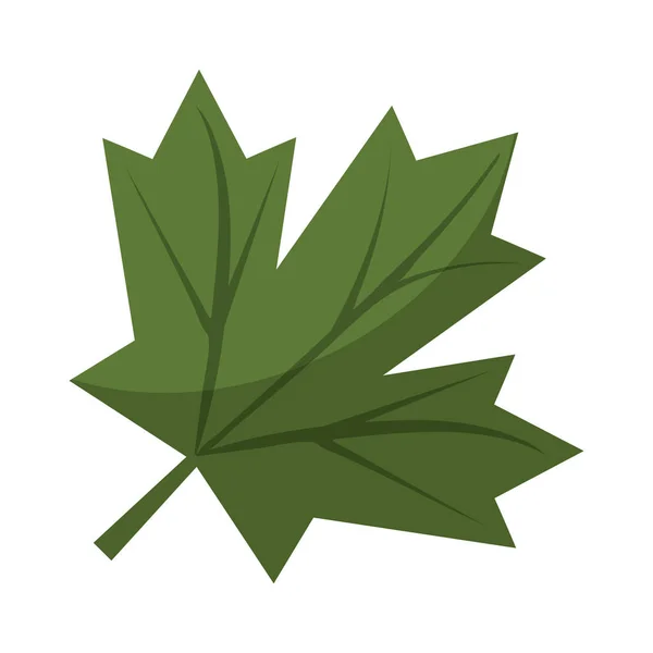 Maple leaf green ondertekenen Canadese — Stockvector