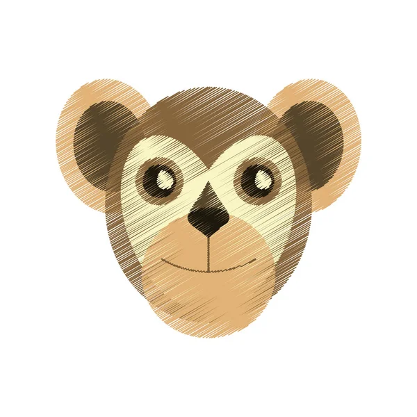 Drawing capuchin primate brazil fauna — Stock Vector