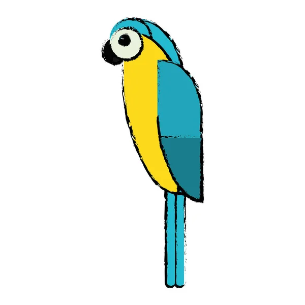 Blå och gula macaw papegoja Brasilien skiss — Stock vektor