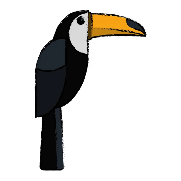 Brasilianska toucan fågel natur skiss — Stock vektor