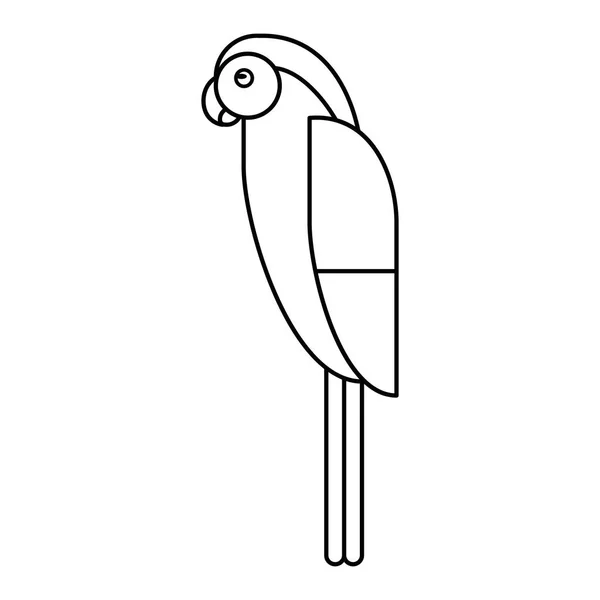 Макаронний папуга Бразилія контур — стоковий вектор
