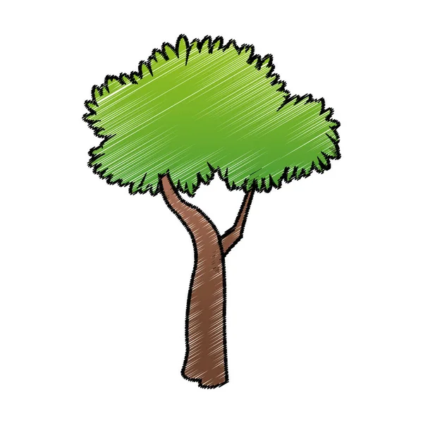 Ізольований дизайн рослинного дерева — стоковий вектор
