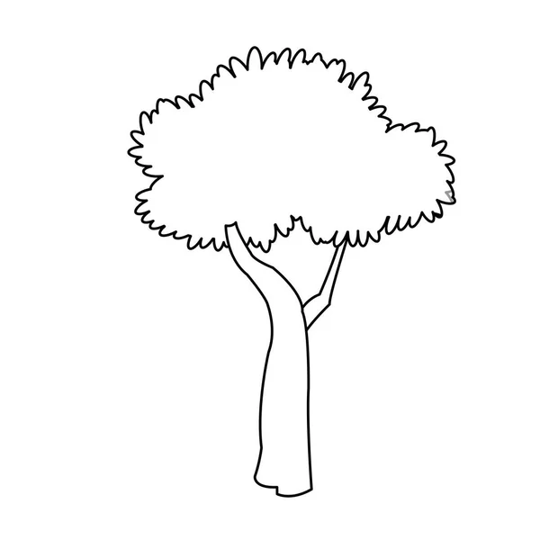 고립 된 나무 식물 디자인 — 스톡 벡터