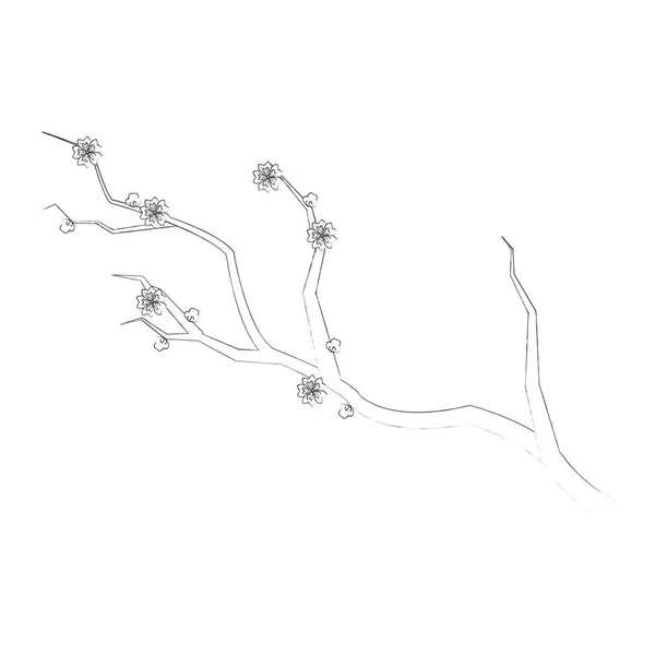 Ізольовані Китай гілка з квітами дизайн — стоковий вектор