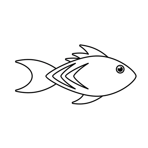 Desenho de desenhos animados de peixes isolados — Vetor de Stock