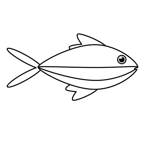 Diseño de dibujos animados de animales de peces aislados — Archivo Imágenes Vectoriales