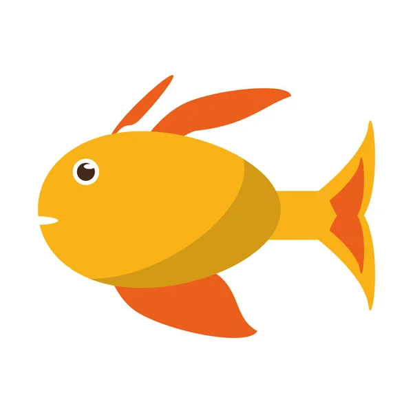 孤立的鱼类动物卡通设计 — 图库矢量图片