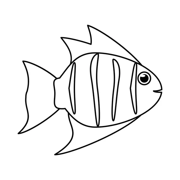 Izolované ryby zvířat kreslený design — Stockový vektor