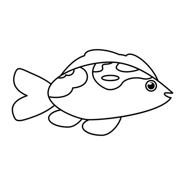고립 된 물고기 동물 만화 디자인 — 스톡 벡터