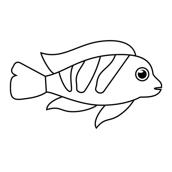 Diseño de dibujos animados de animales de peces aislados — Archivo Imágenes Vectoriales