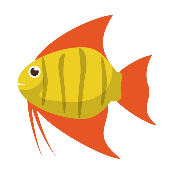 Diseño de dibujos animados de animales de peces aislados — Vector de stock