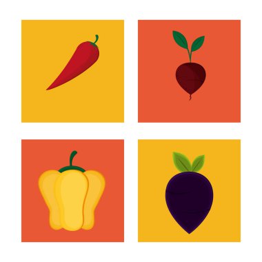 koleksiyon sebze ürünleri doğa Gıda Vejetaryen