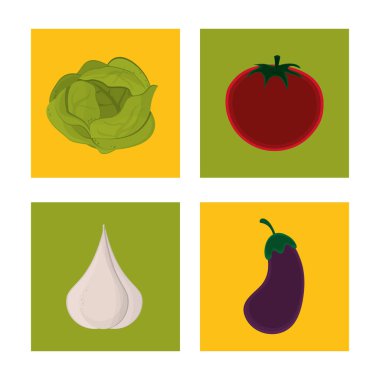 taze sebze vejetaryen mutfağı ayarla