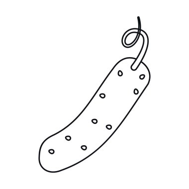 Salatalık beslenme sebze anahat