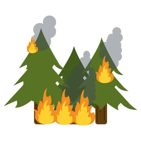 Fuego salvaje destruye bata de pinos — Vector de stock