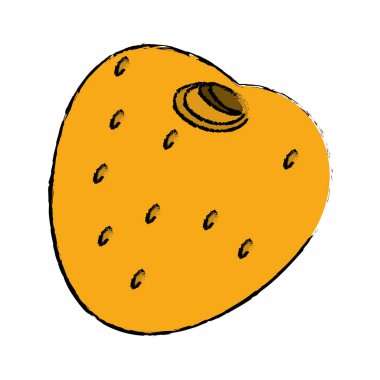 Çizim meyve egzotik diyet lezzetli