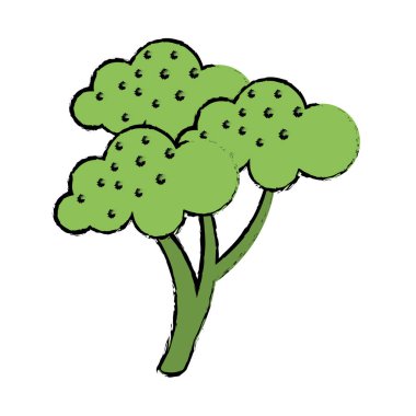 Çizim brokoli sebze diyet beslenme