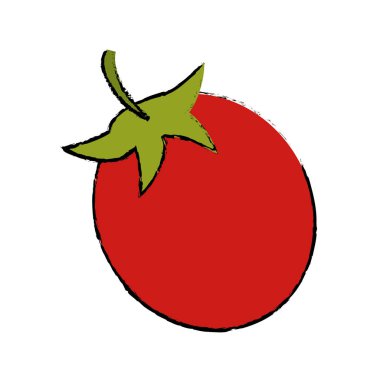 Çizim domates sebze diyet beslenme