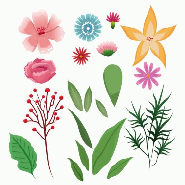 koleksiyon çiçek çiçek sezon bahar