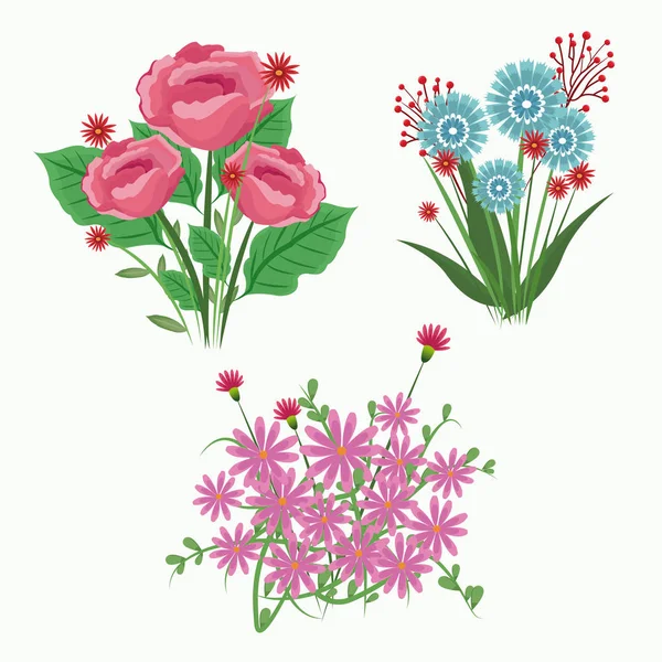 Set Blumen blühen Anbetung Design — Stockvektor