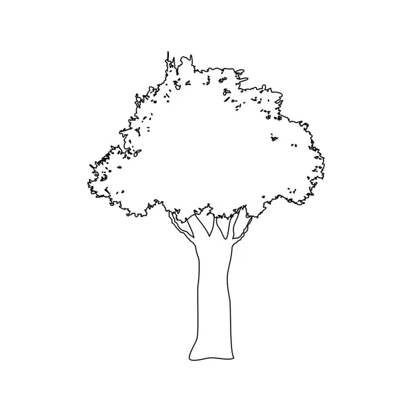 Immagine icona albero — Vettoriale Stock