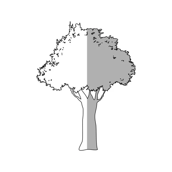 Obraz ikony drzewa — Wektor stockowy