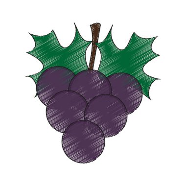 Üzüm meyve simgesi