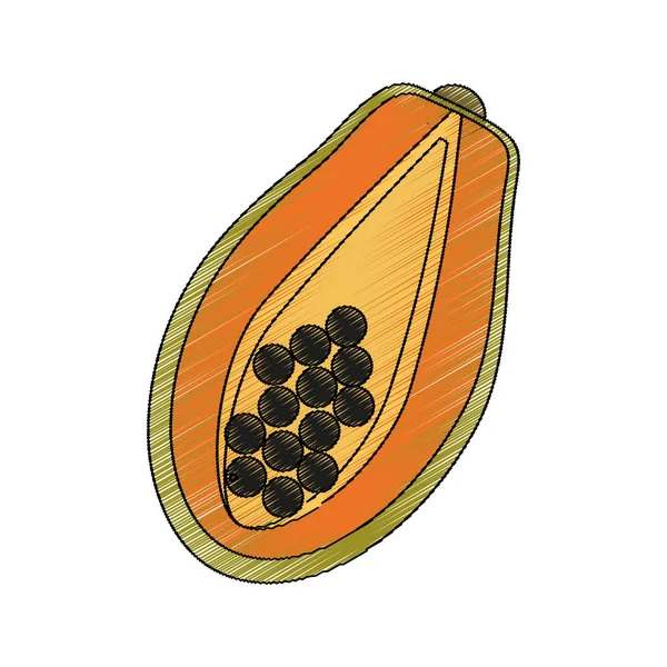 Paw paw fruit pictogram — Stockvector