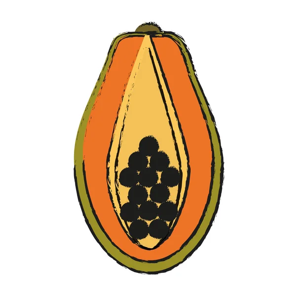 Paw paw fruit icon — Stock Vector